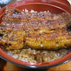 浜松鰻丼